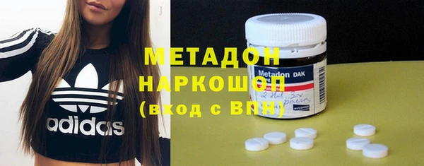 шишки Надым