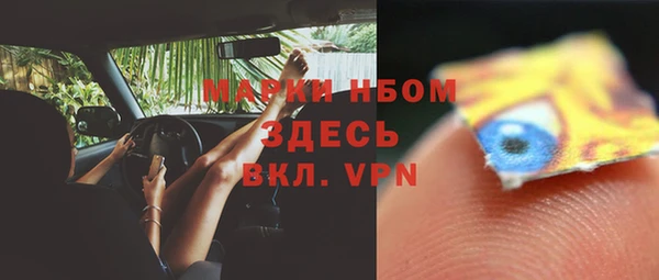 ГАЛЛЮЦИНОГЕННЫЕ ГРИБЫ Алзамай