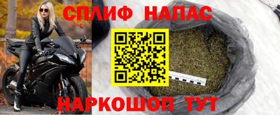 ешки Гатчина