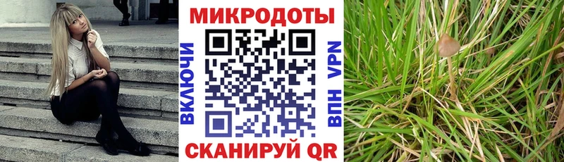 Псилоцибиновые грибы Psilocybine cubensis  mega вход  Арзамас 