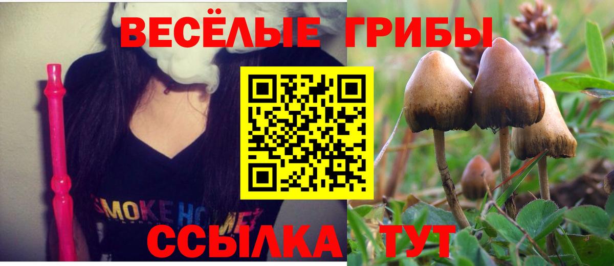 Псилоцибиновые грибы прущие грибы Арзамас