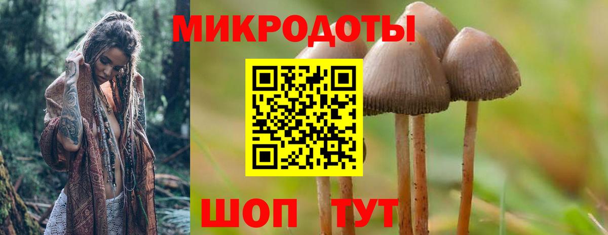 Арзамас  Псилоцибиновые грибы MAGIC MUSHROOMS  Галлюциногенные грибы MAGIC MUSHROOMS  Вход с VPN 