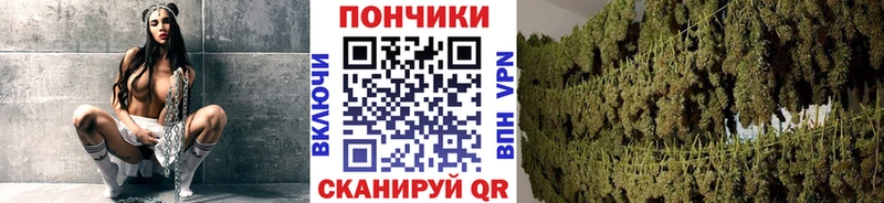 закладка  блэк спрут зеркало  Каннабис THC 21%  Арзамас 